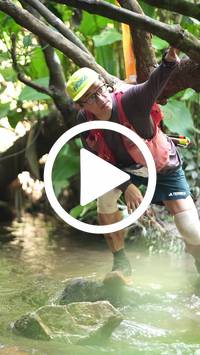 BIB:  <button type="button" onclick="openModal(27487517)" class="btn btn-primary btn-sm float-right" data-toggle="modal" data-target=".modal-high-quality">
                <i class="fa fa-download"></i> Download
                </button>